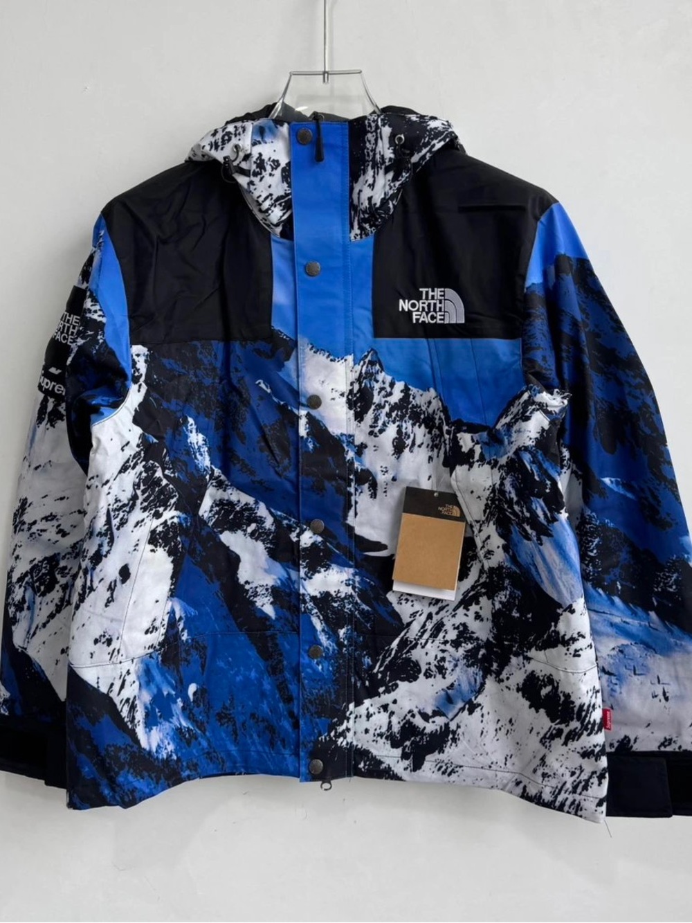 Supreme The North Face Blue Mountain Print Waterproof Jacket